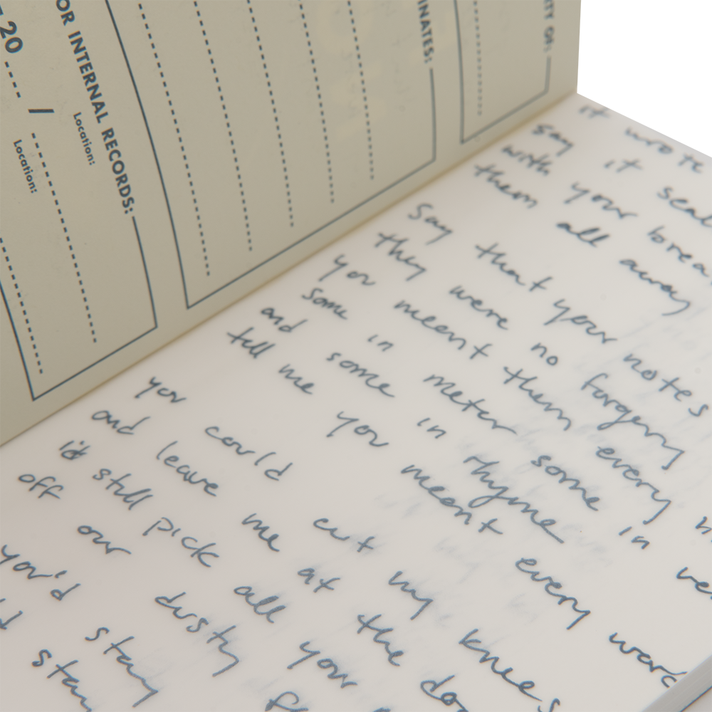 Maggie Rogers Field Notes Detail 1